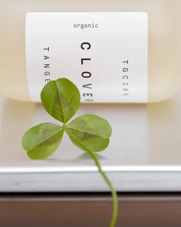 Clover hand soap - 350 ml - Tangent