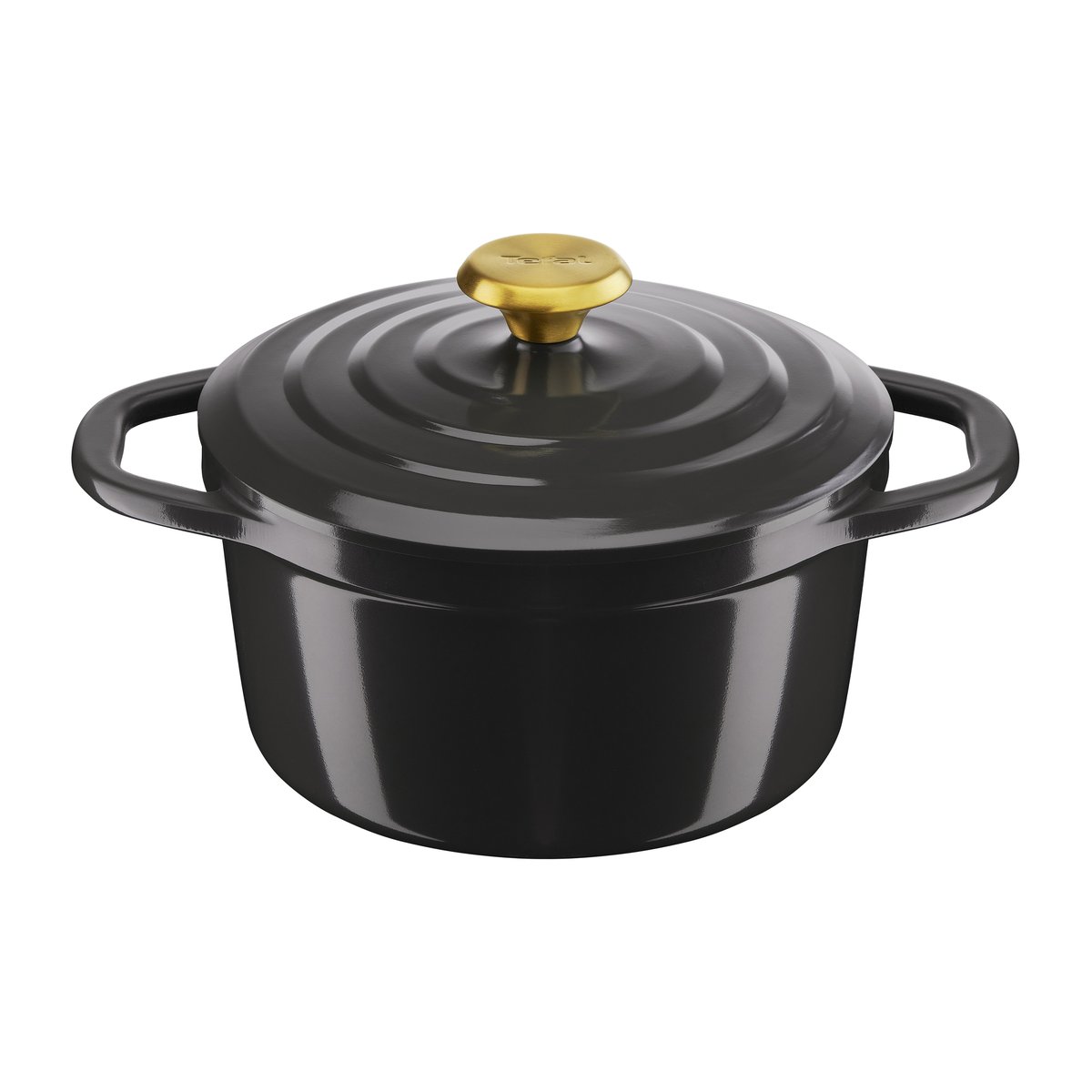 Tefal Air pot 3.1 l Grey