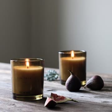 Noir scented candle 50 timmar - Fig tree - Tell Me More