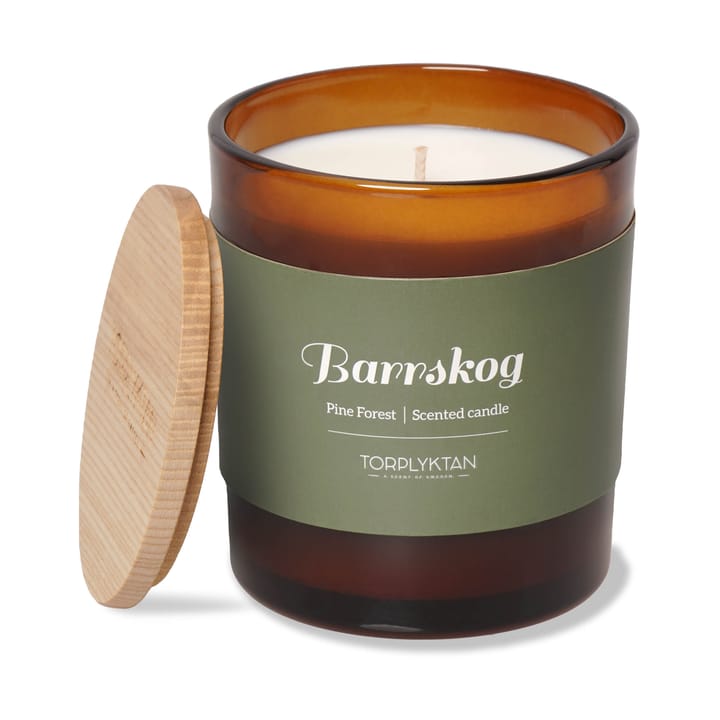 Northern woods scented candle 310 g - Berry forest - Torplyktan