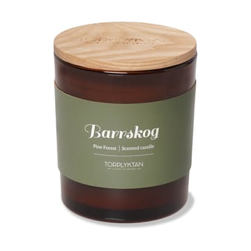 Northern woods scented candle 310 g - Berry forest - Torplyktan