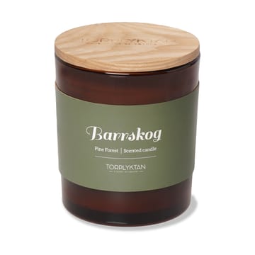 Northern woods scented candle 310 g - Pine Forest - Torplyktan