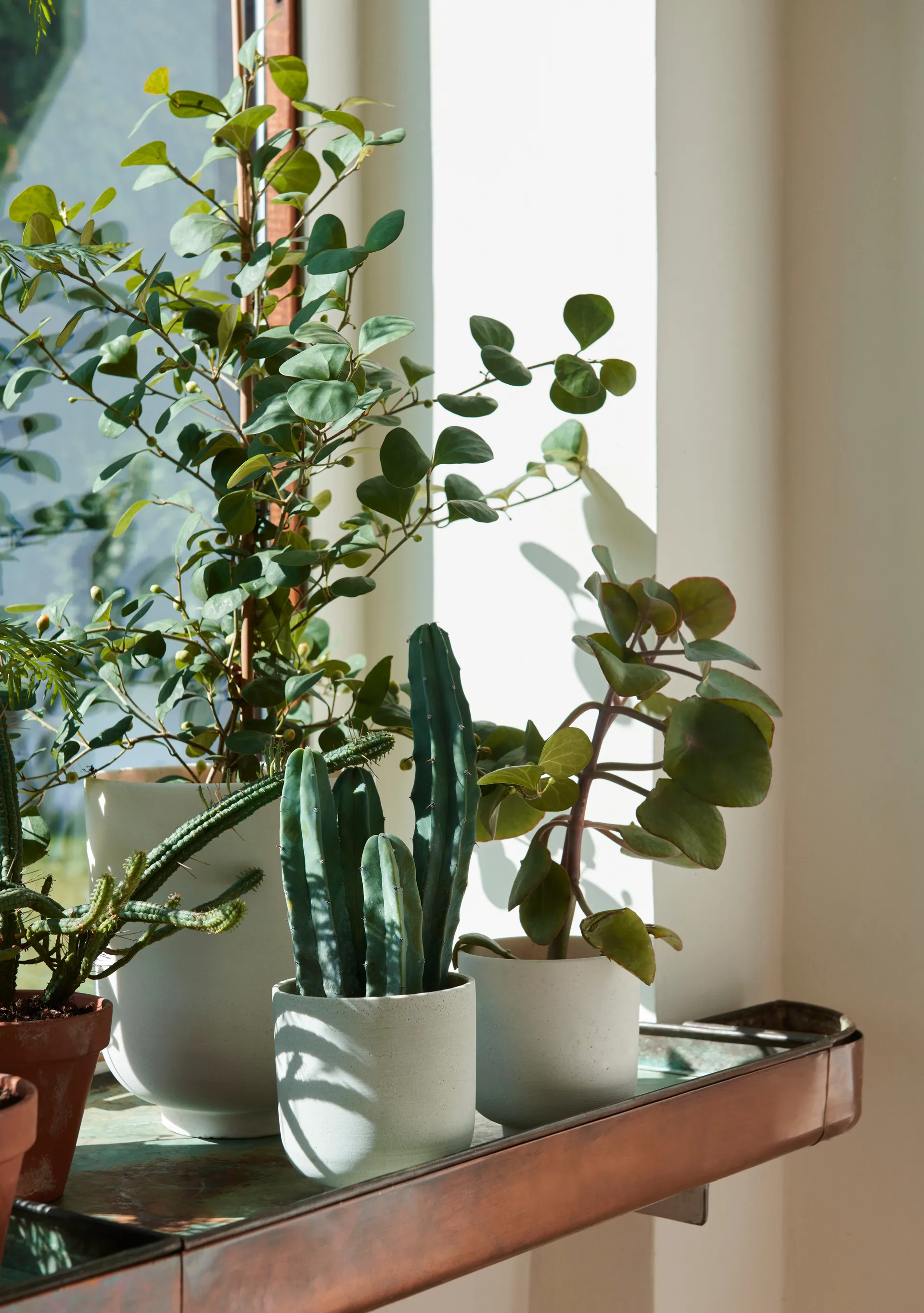 Collect SC69 flower pot small Ø12 cm, Milk &Tradition