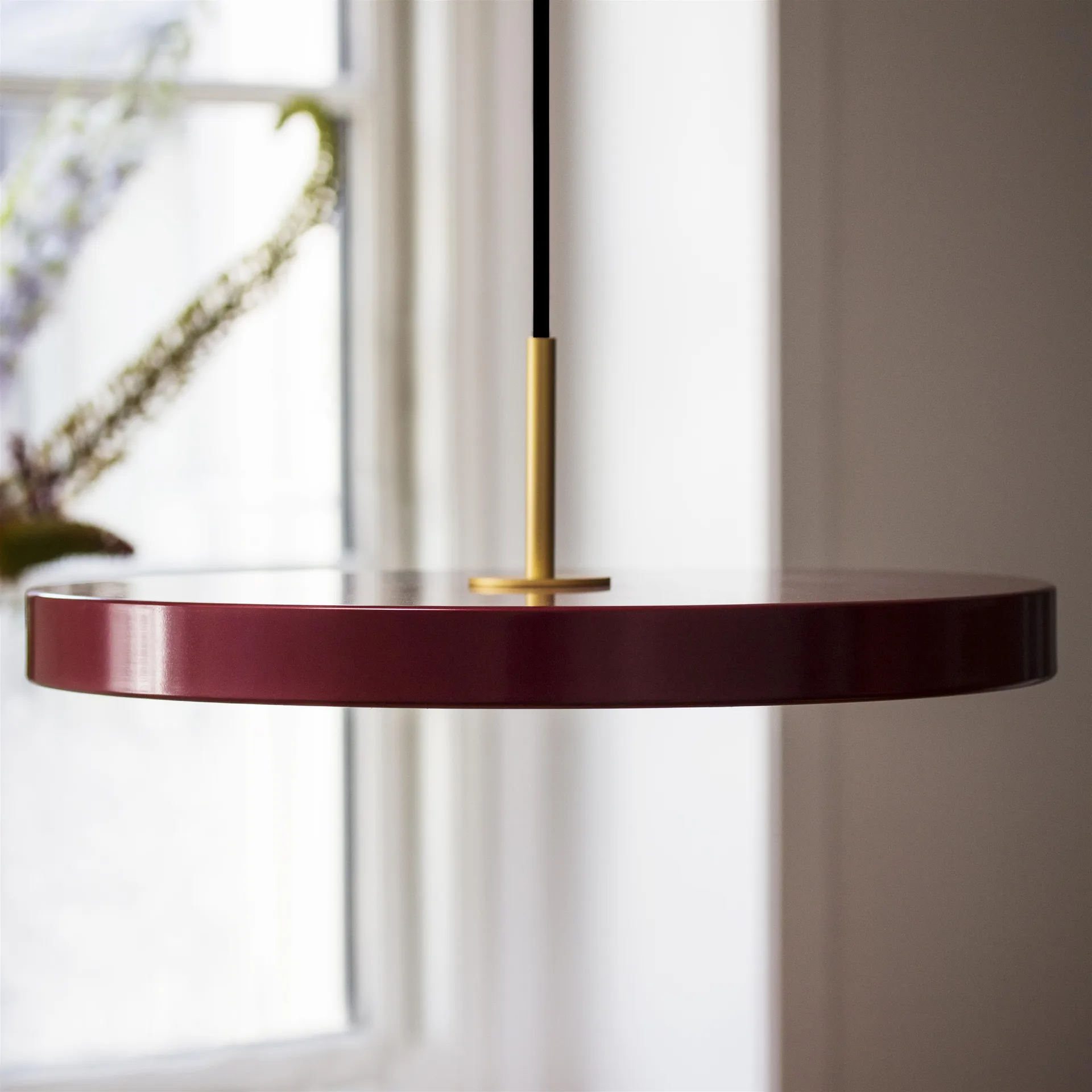 Asteria ceiling lamp, ruby (wine red) Umage