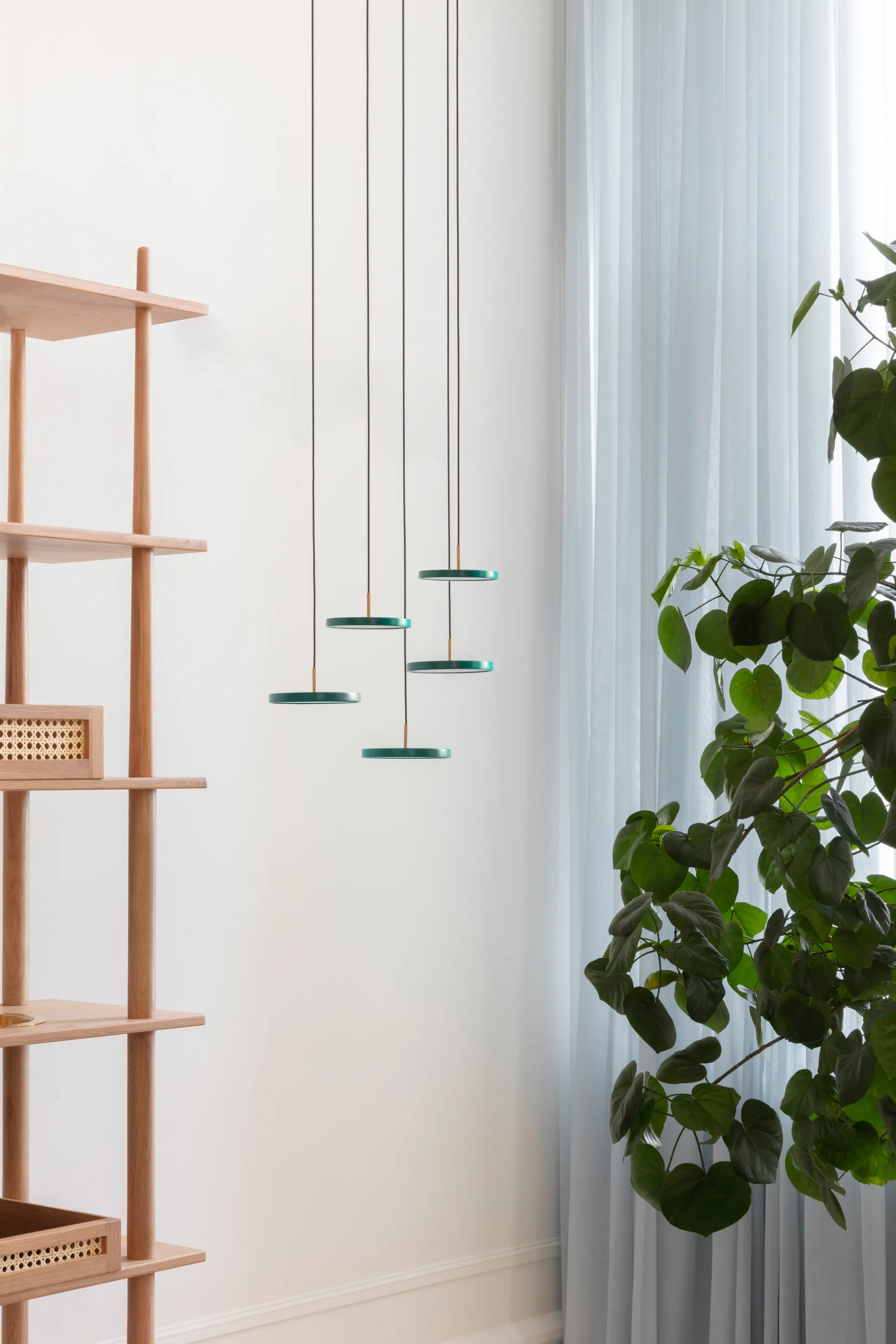 Asteria Micro ceiling lamp, Forest Green Umage