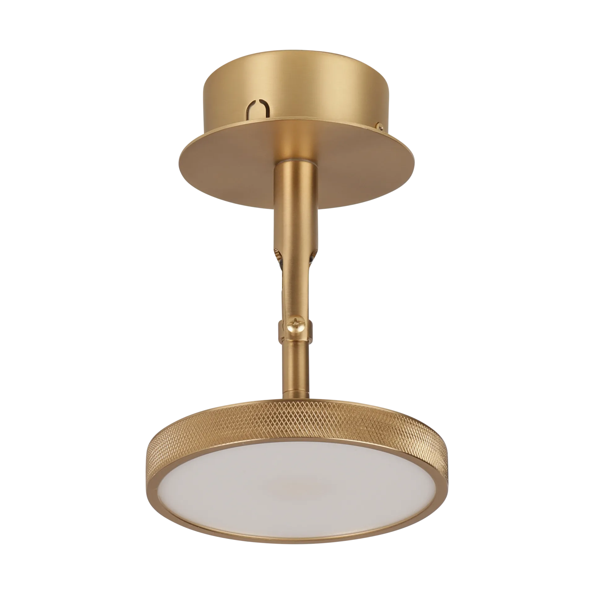 Asteria Spot ceiling and wall lamp Ø12 cm, Polished brass Umage