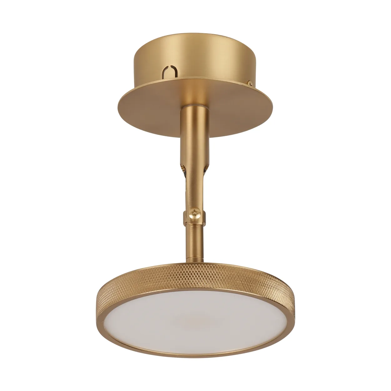 Umage Asteria Spot ceiling and wall lamp o12 cm Polished brass