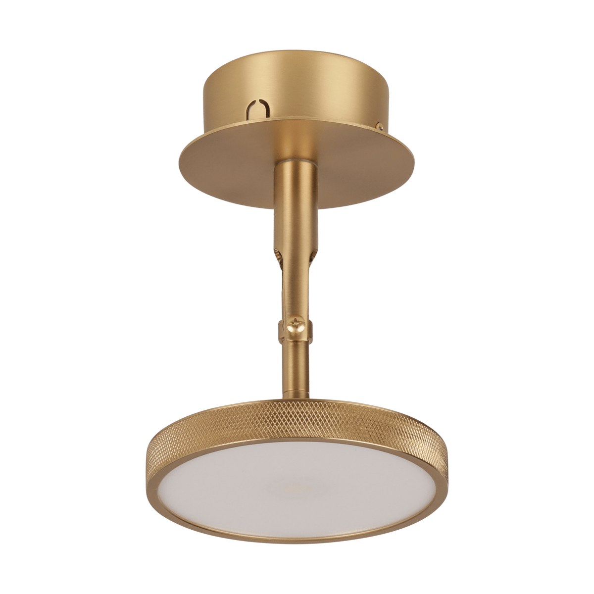 Umage Asteria Spot ceiling and wall lamp o12 cm Polished brass