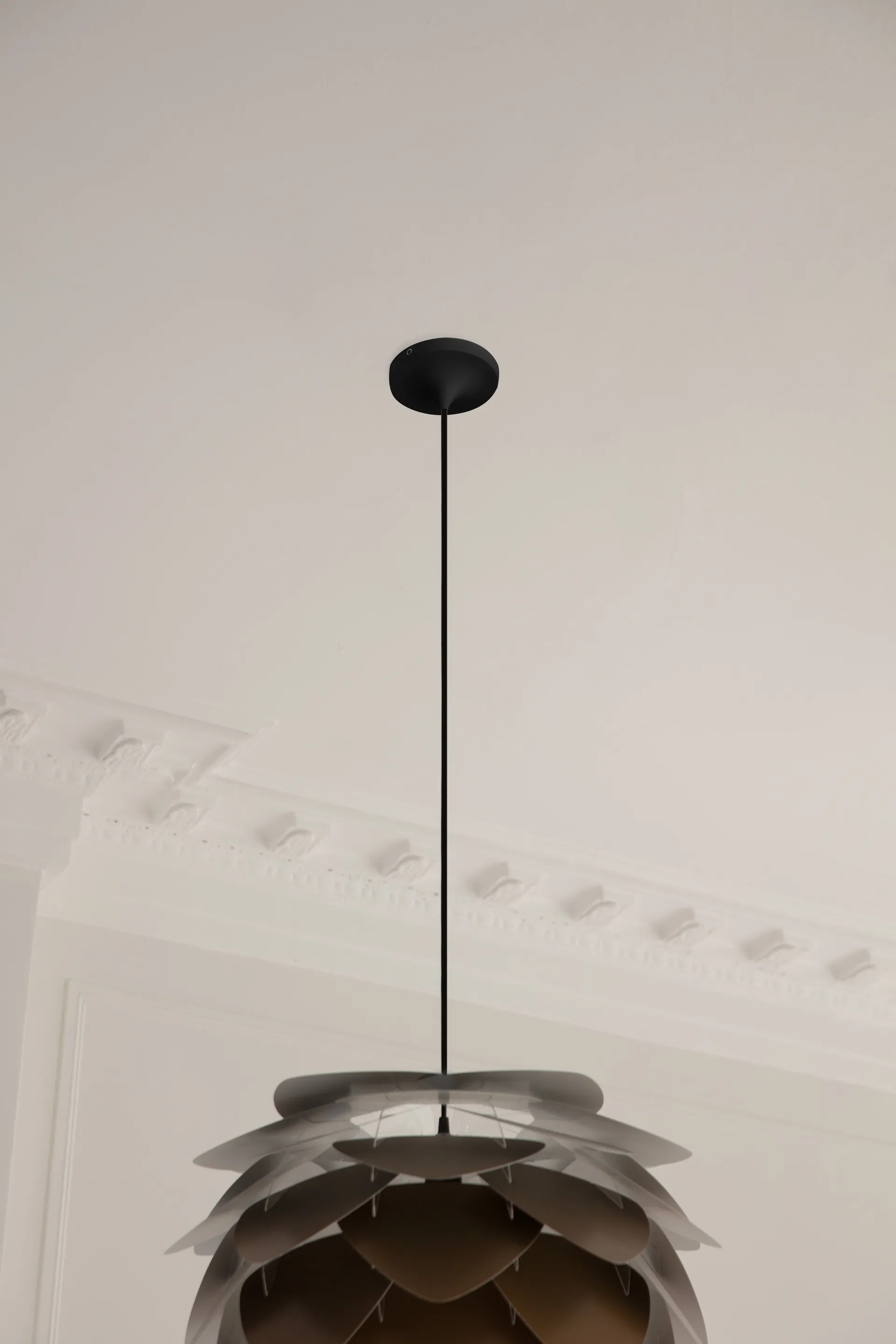 Cord Set Pro lamp suspension, Black Umage