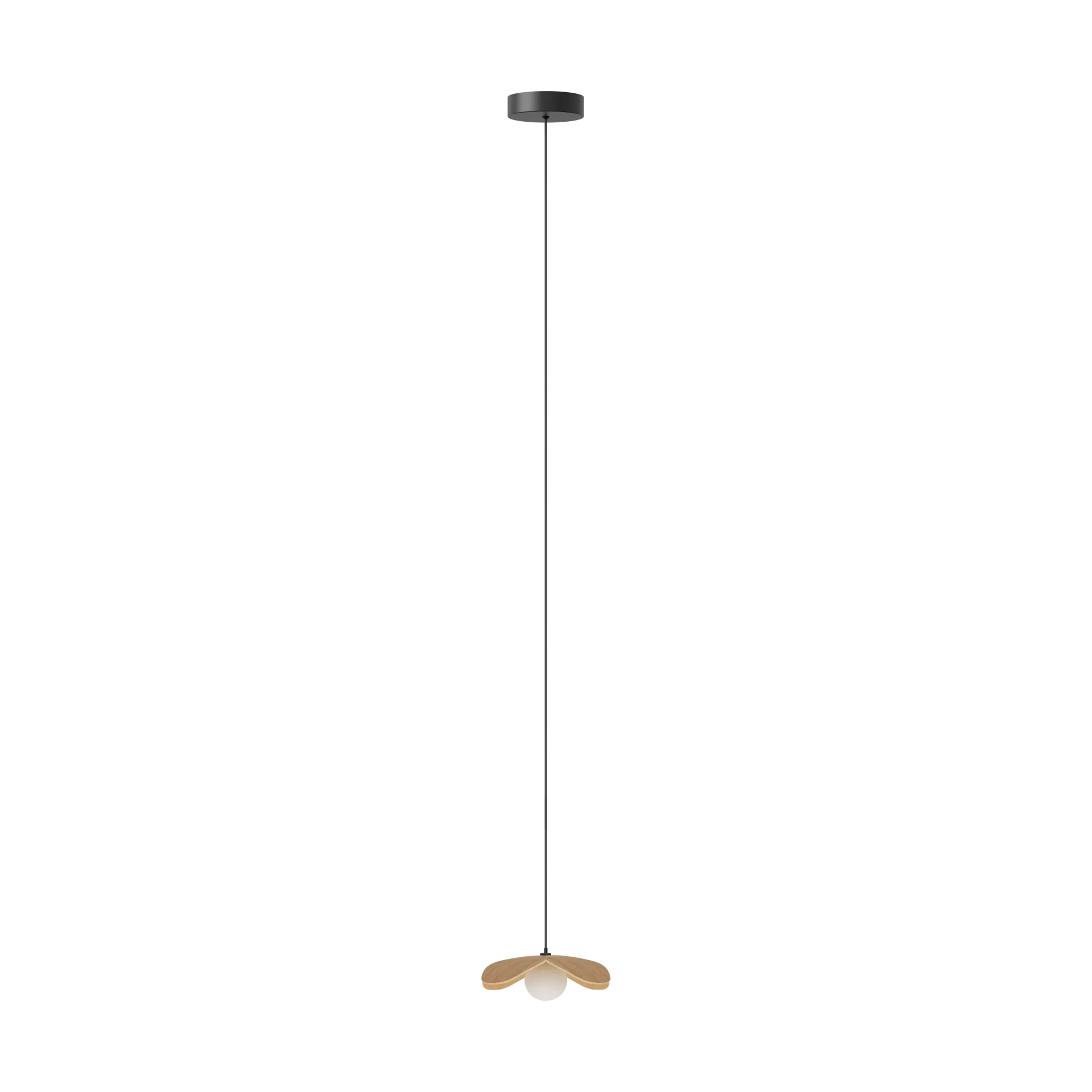 Forget Me Not pendant mini, Oak Umage