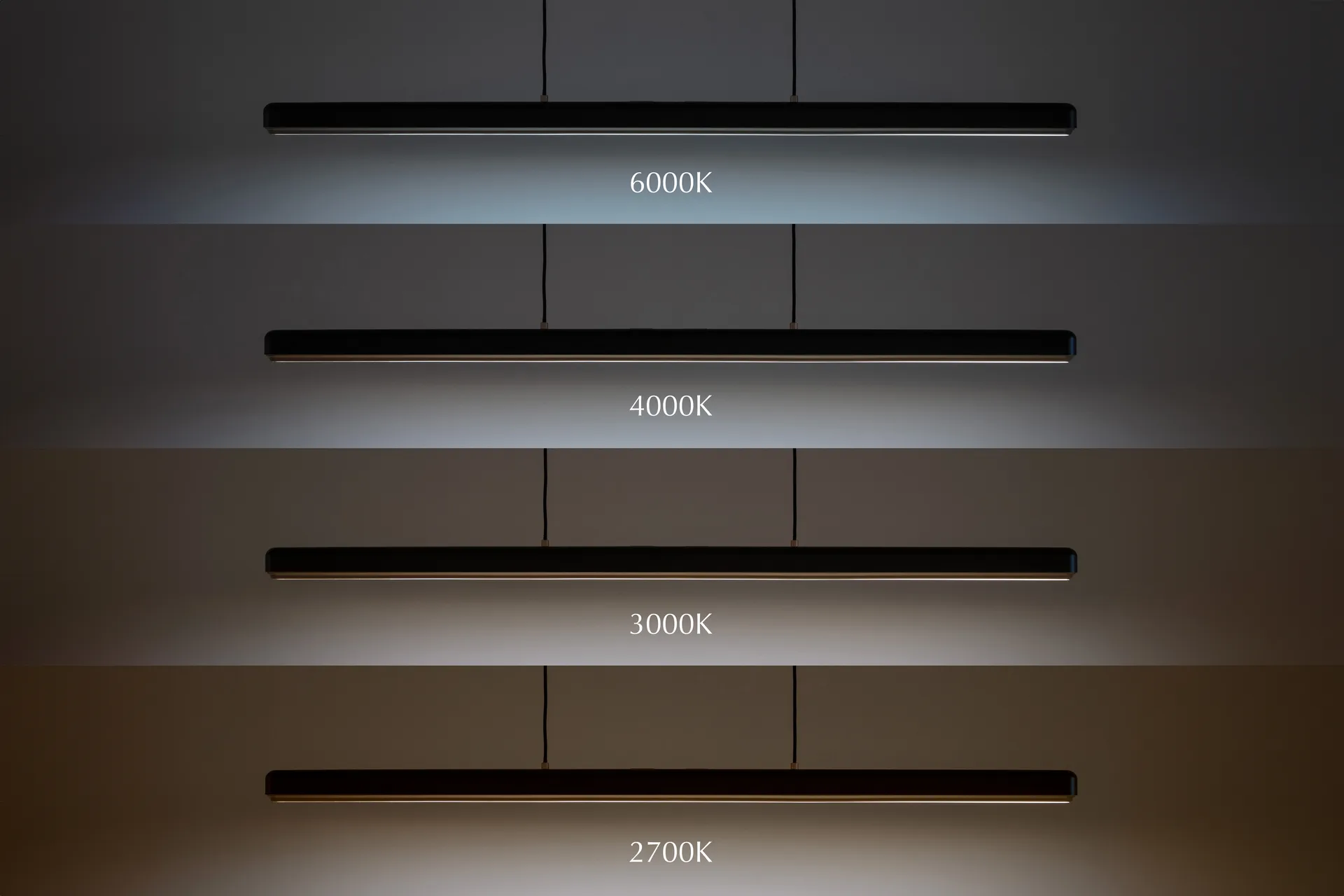 Hazel Branch 1.5m pendant, Black-steel Umage