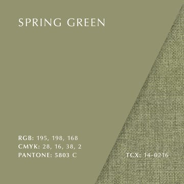 The Reader armchair dark oak - Spring green - Umage