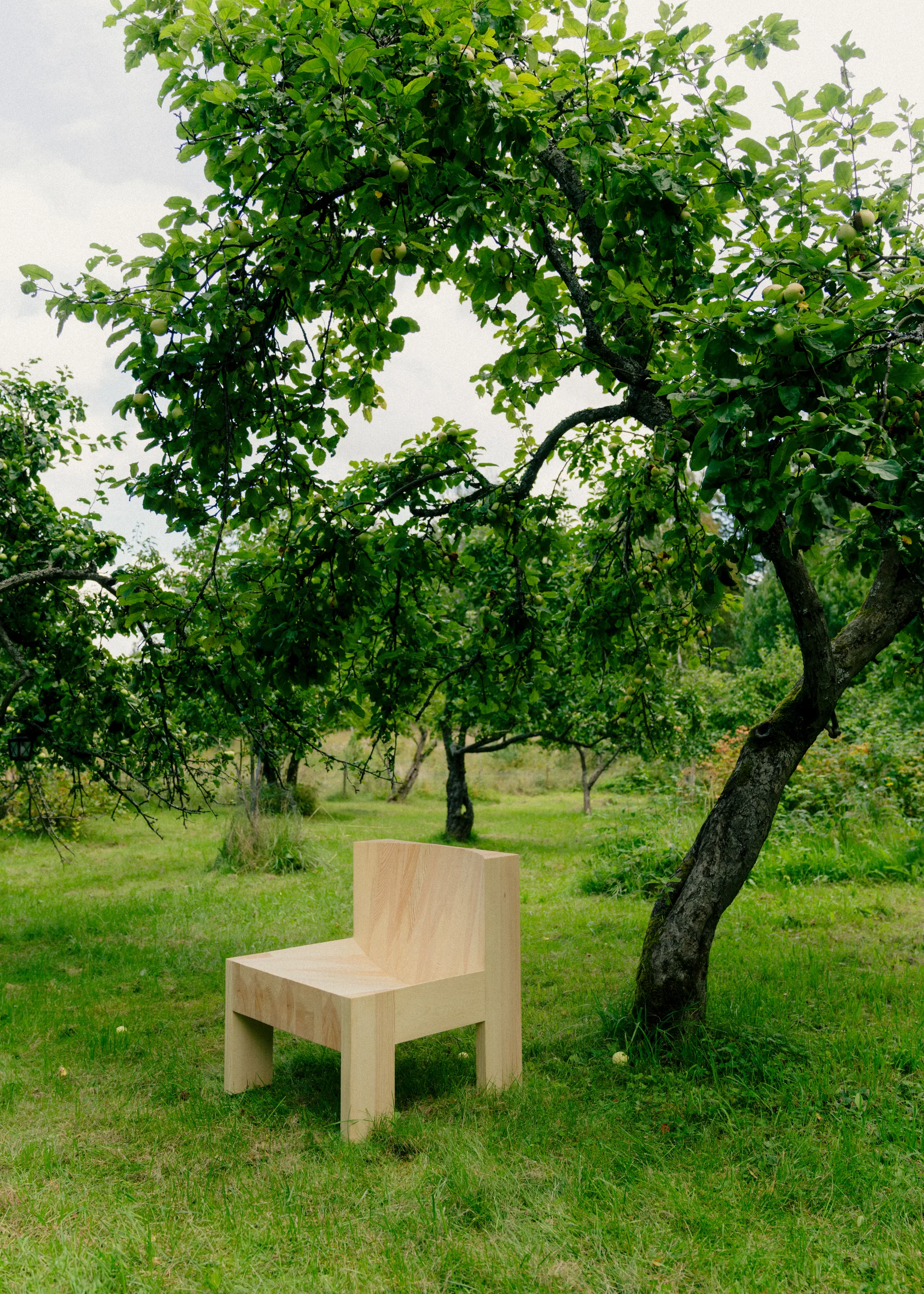005 Lounge Chair lounge chair, Matte oil-waxed pine Vaarnii