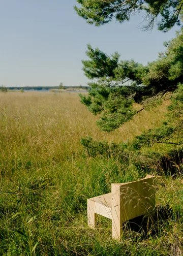 005 Lounge Chair lounge chair - Matte oil-waxed pine - Vaarnii