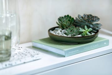 Crafted Breeze deep plate Ø21.5 cm - Green - Villeroy & Boch