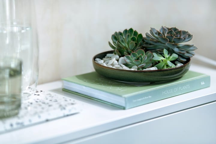Crafted Breeze deep plate Ø21.5 cm - Green - Villeroy & Boch