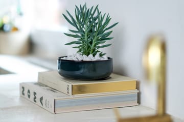 Crafted Denim bowl Ø16 cm - Blue - Villeroy & Boch
