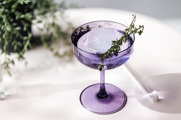 Like champagne glass coupe 10 cl 2-pack - Lavender - Villeroy & Boch