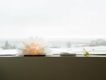 Mezza Snow Flower table star - White-coffee - Watt & Veke
