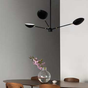 Spoon ceiling pendant lamp - matte black brass - Watt & Veke