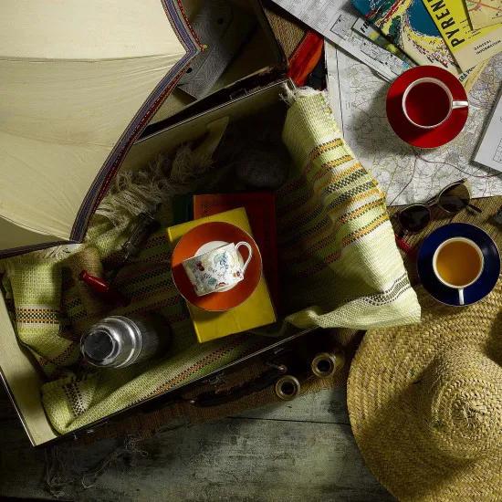 Wonderlust cup with saucer, rococo flowers Wedgwood