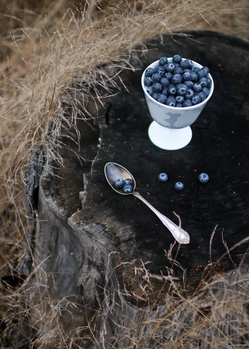 Alv dessert bowl on foot Ø11 cm, Silver Wik & Walsøe
