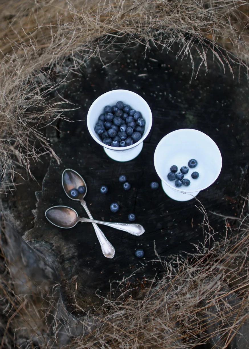 Alv dessert bowl on foot Ø11 cm, Silver Wik & Walsøe