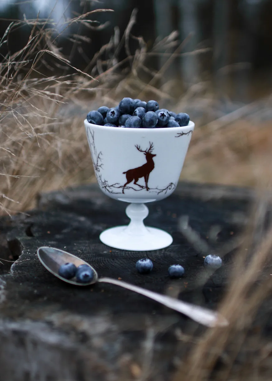 Alveskog dessert bowl on foot Ø11 cm, White Wik & Walsøe