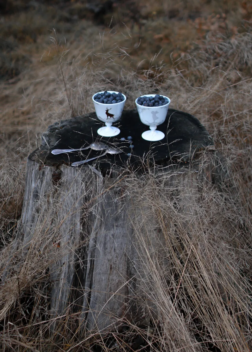 Alveskog dessert bowl on foot Ø11 cm, White Wik & Walsøe