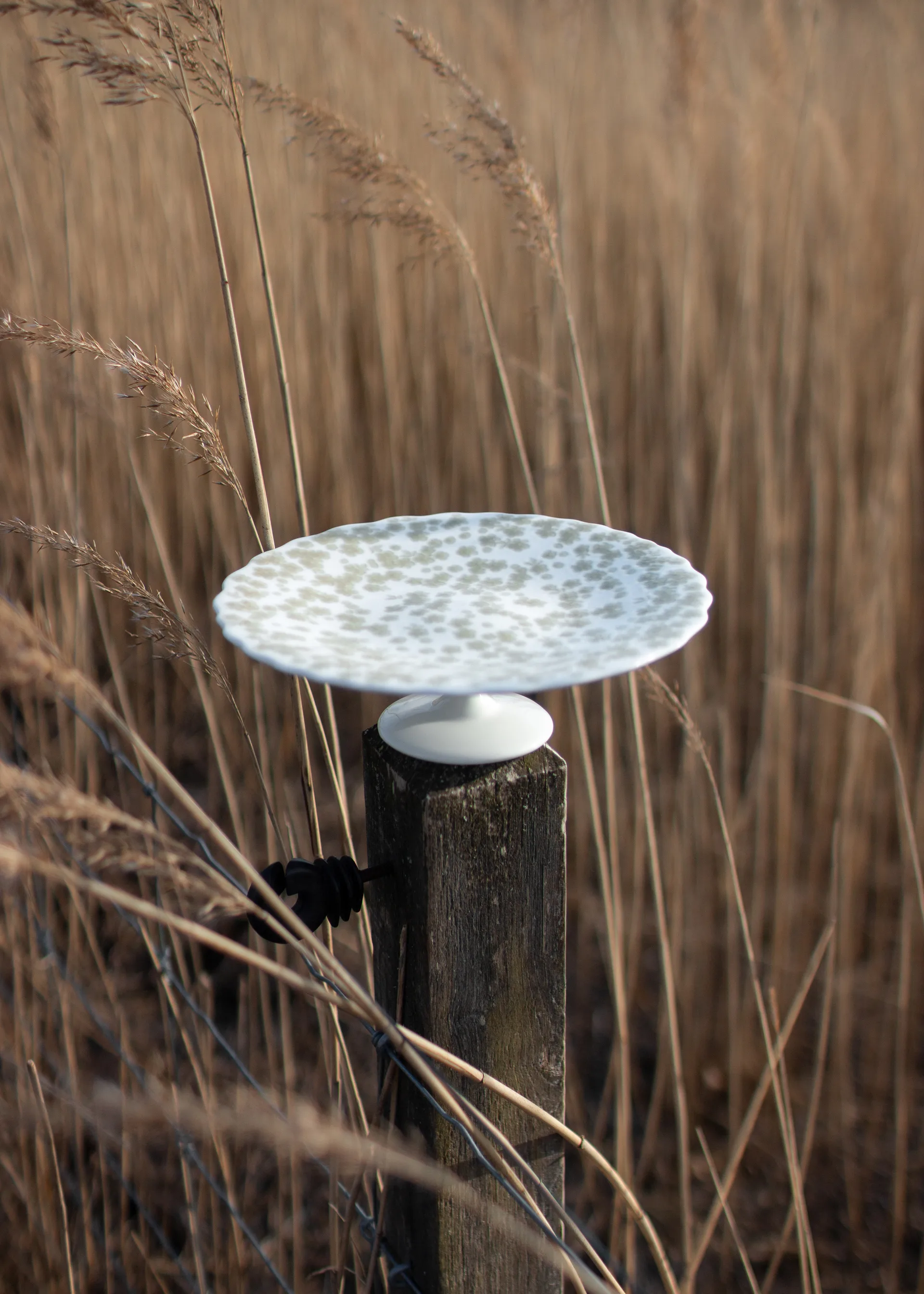 Slåpeblom cake platter Ø21 cm, Green Wik & Walsøe