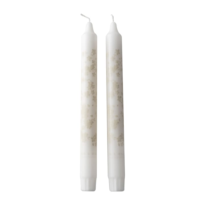 Slåpeblom tapered candle 2-pack - grey - Wik & Walsøe