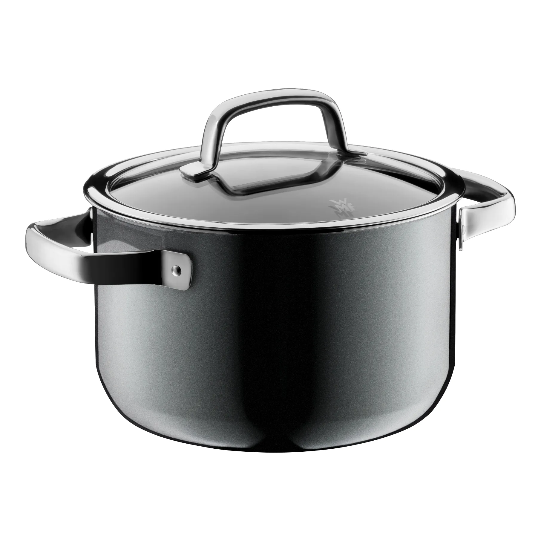 Fusiontec pot with lid 3.7 l, Platinum WMF