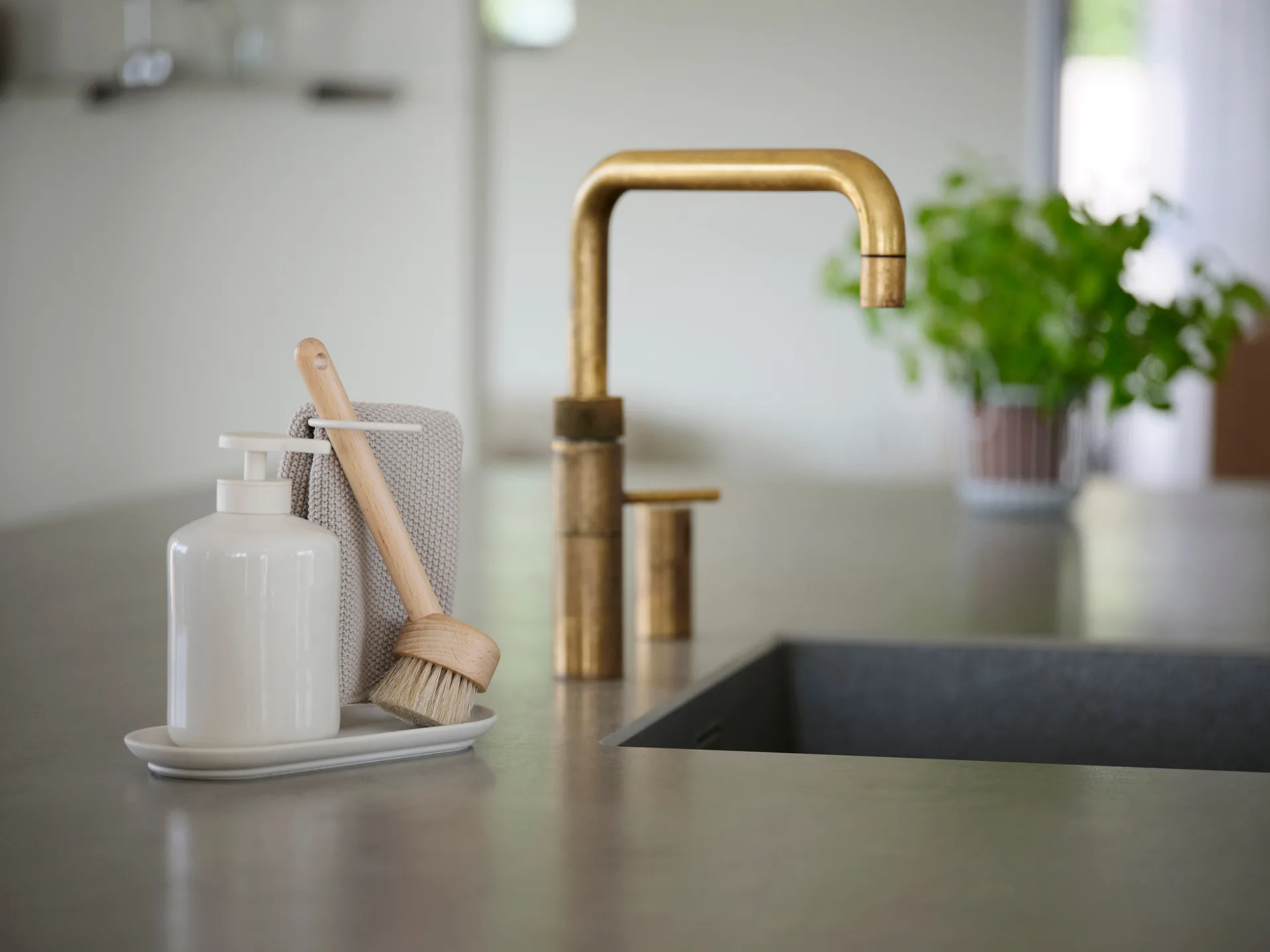 Inu dish brush, Beech Zone Denmark