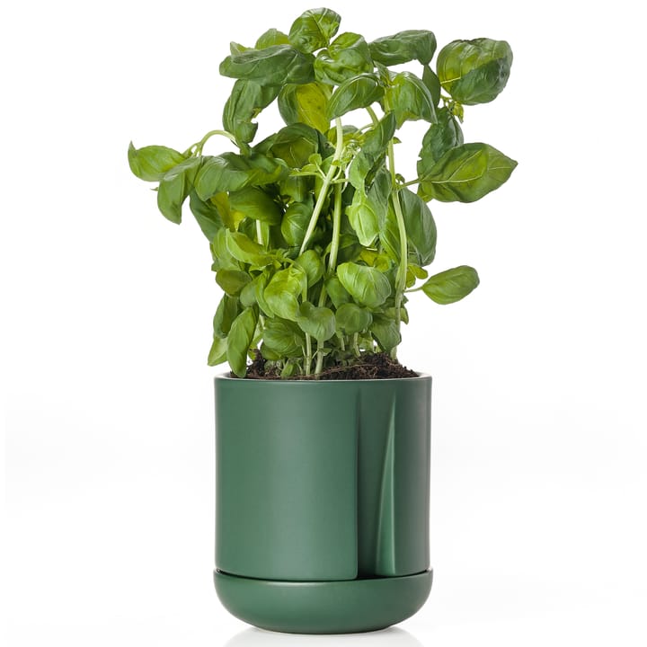 Zone herb flower pot pot Ø11.5 cm - jungle green - Zone Denmark