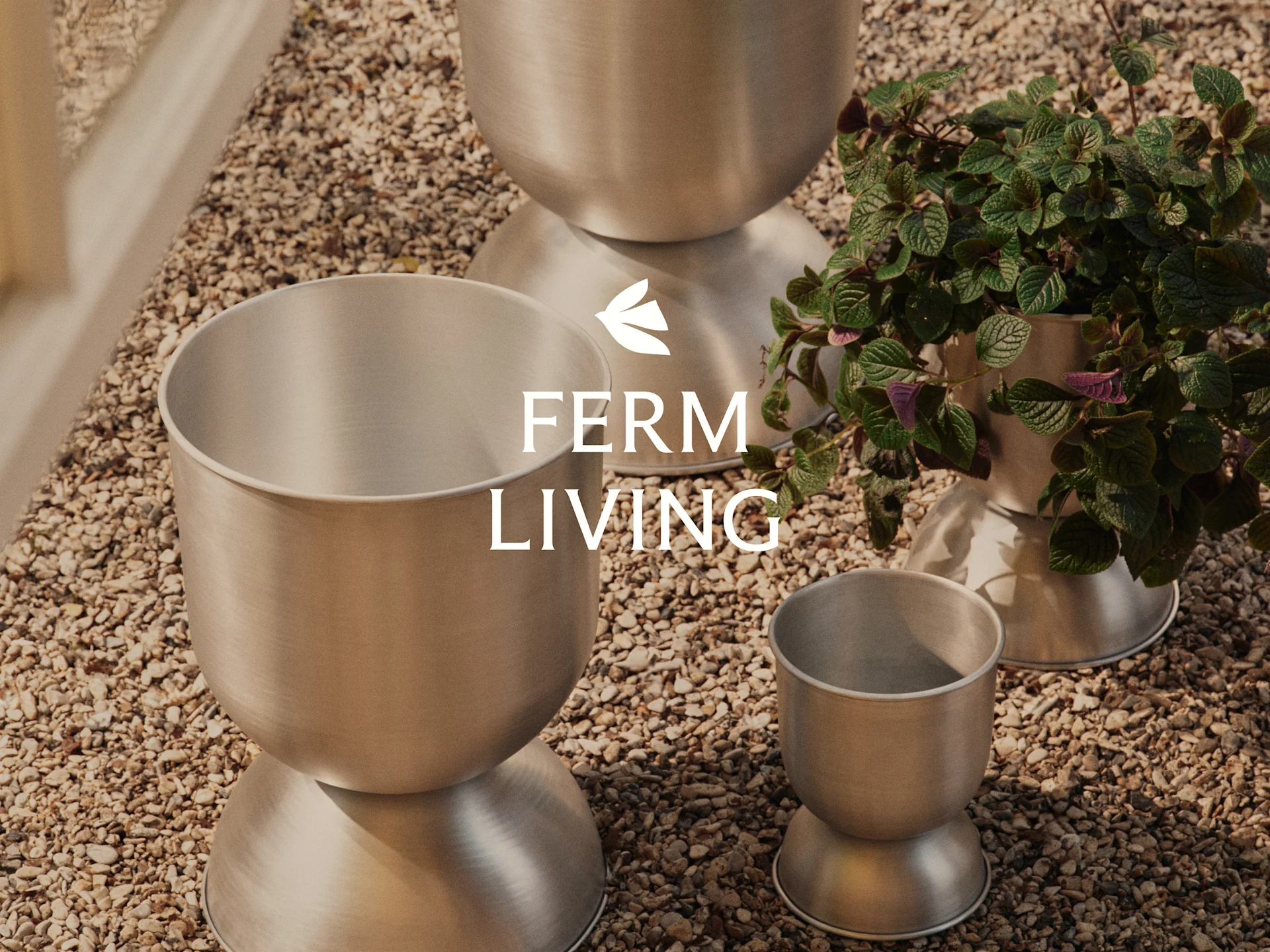 Three brushed metallic planters with hourglass shapes on a gravel surface. One planter holds a green plant.