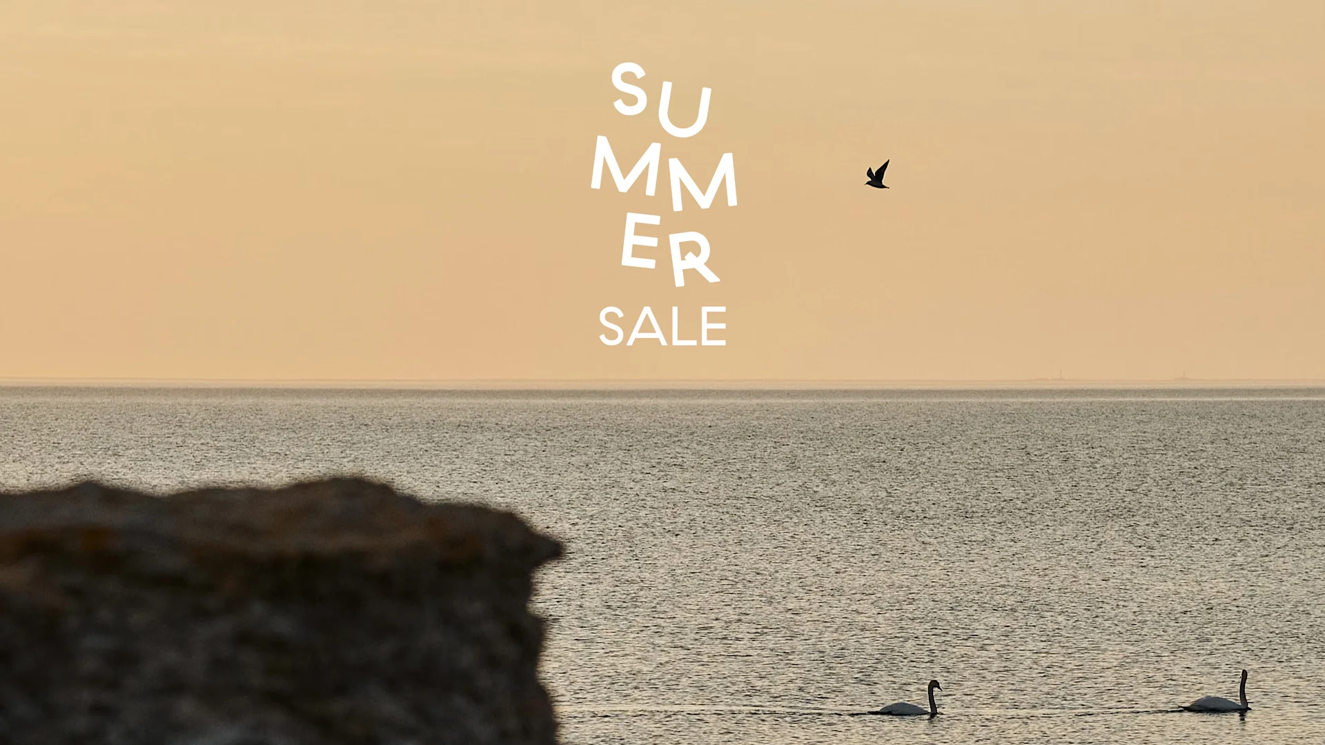 Summer Sale text over a serene ocean scene with two swans swimming and a bird flying under a warm sky.