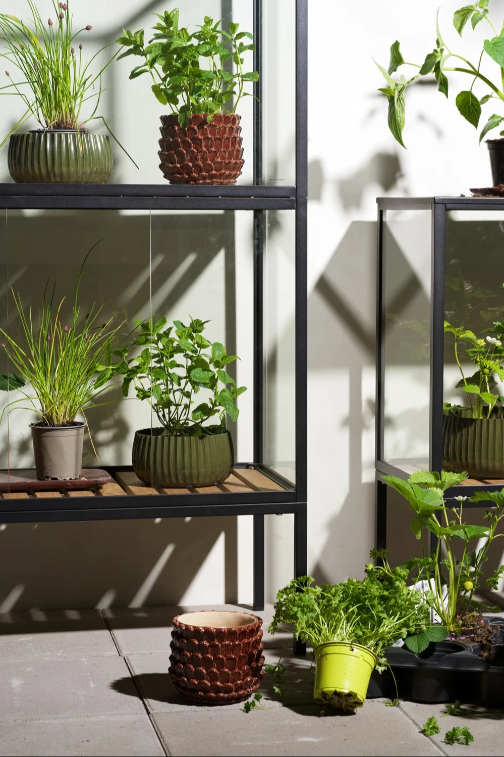 Shelving unit with glass panels displaying various potted herbs and plants. A yellow pot of parsley is tipped on the tiled floor.
