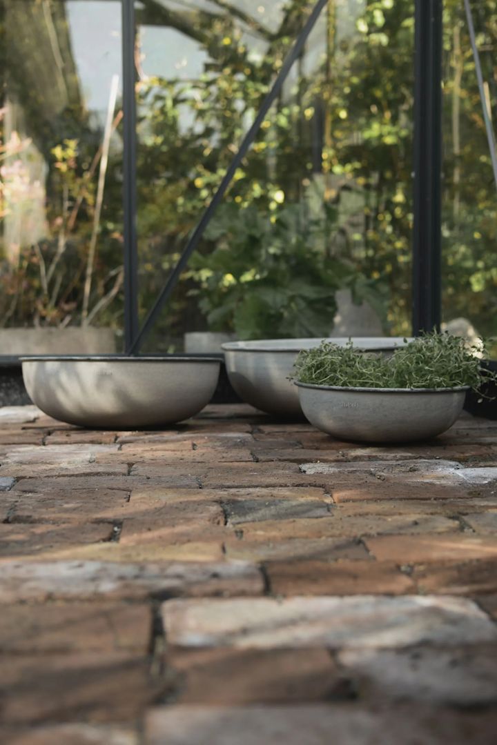 Shallow plant pots in metal, Out bowls from DBKD, here in a green house.