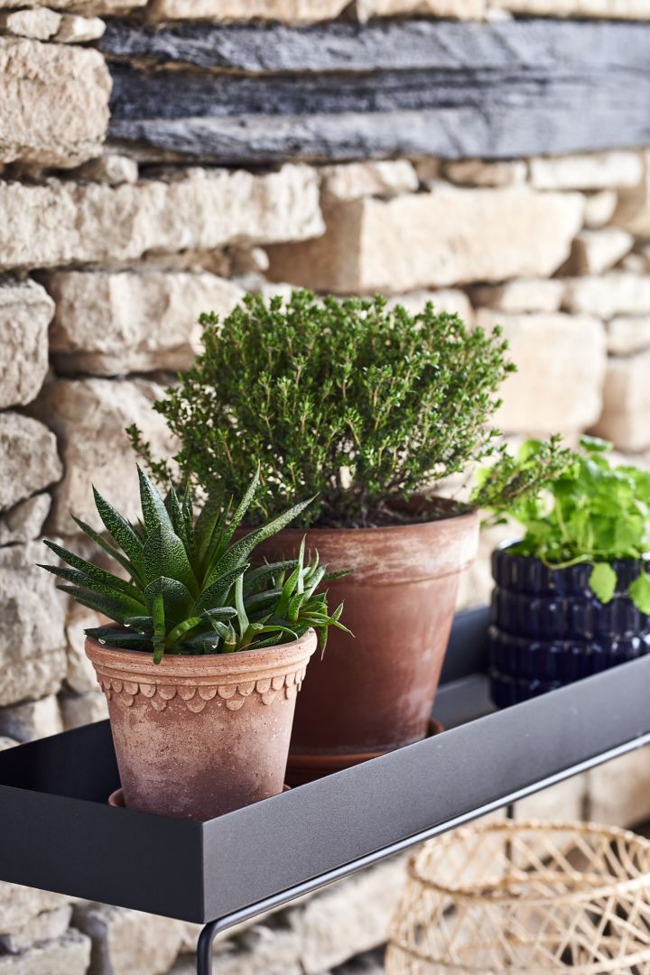 Plants, pots and vases are the perfect tool in giving your outdoor area a quick makeover!