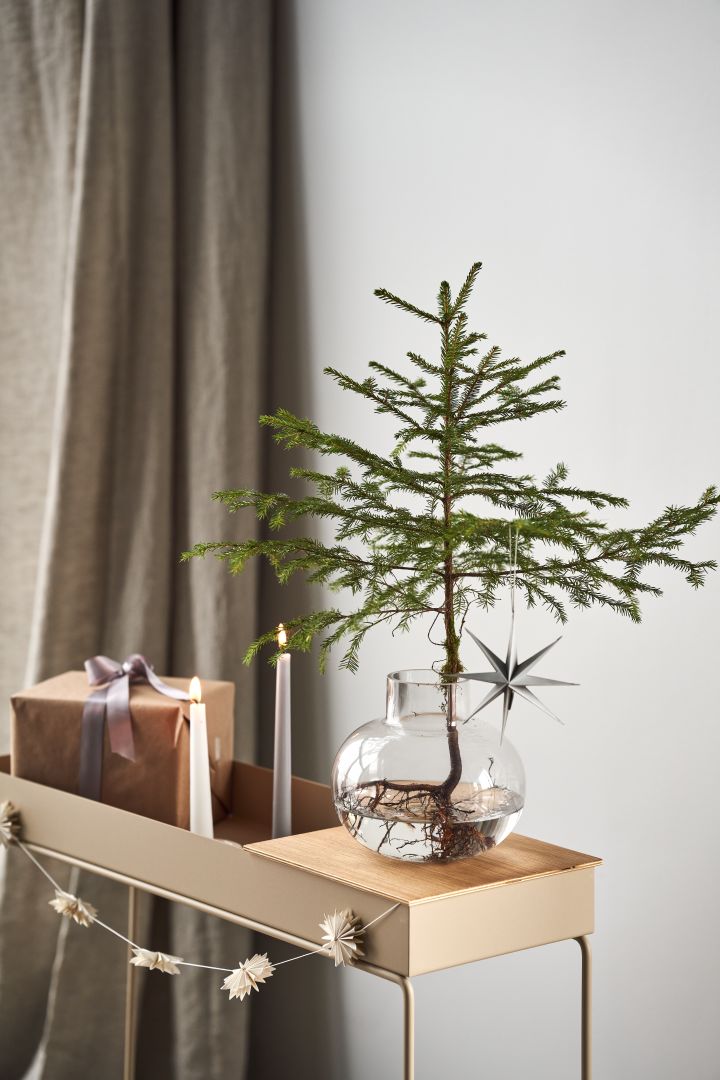 Decorate the Christmas tree with Christmas tree decorations for 2021 in 4 different styles according to Nest Trends - Nurture, Share, Boost and Cultivate. Here you see a small Christmas tree in By On vase standing on Plant Box from Ferm Living.