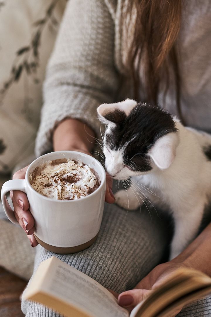 Grey Fossil coffee mug from Scandi Living with hot chocolate and a nosey kitten. 