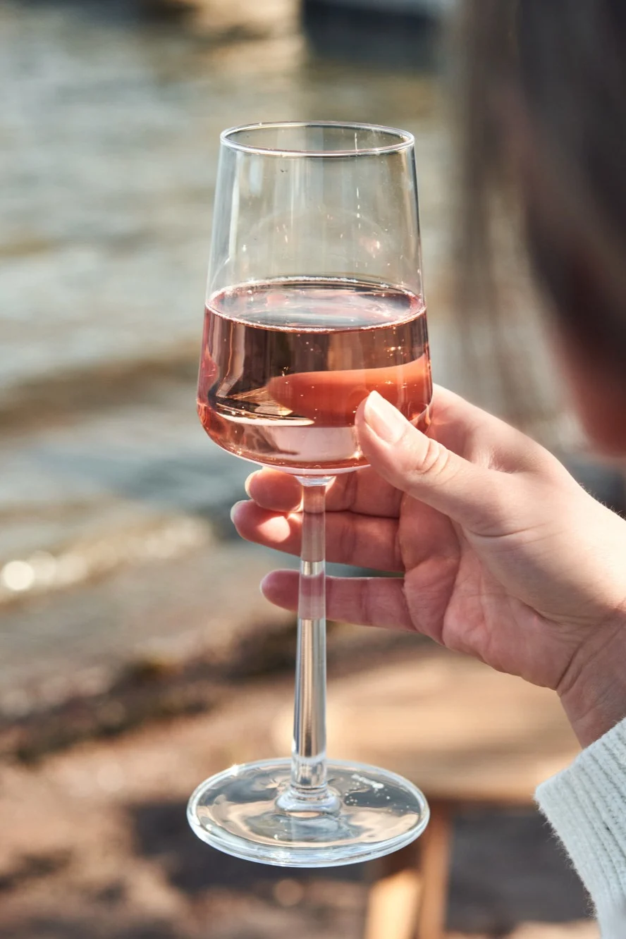 Glass guide part 1  How to choose the right wine glass