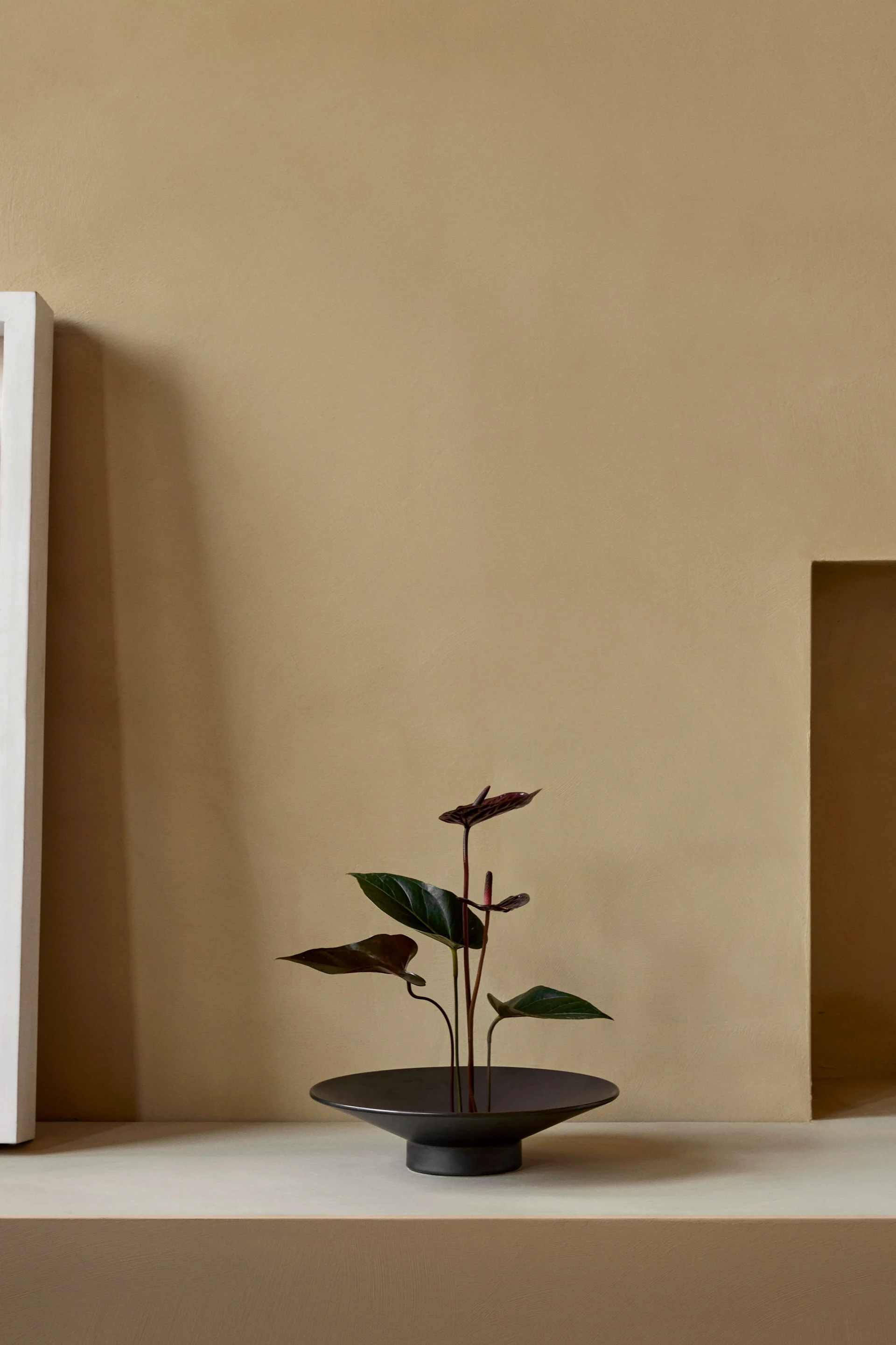 A minimalist interior with a dark green plant with dark red flowers in a black bowl on a light beige shelf against a beige wall.