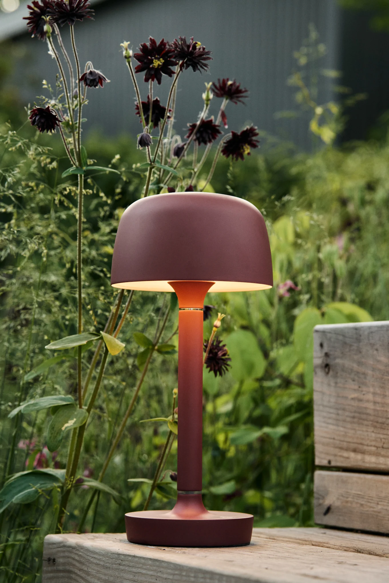 A reddish-brown portable lamp with a mushroom-shaped shade glowing on a wooden bench in a garden with dark flowers.