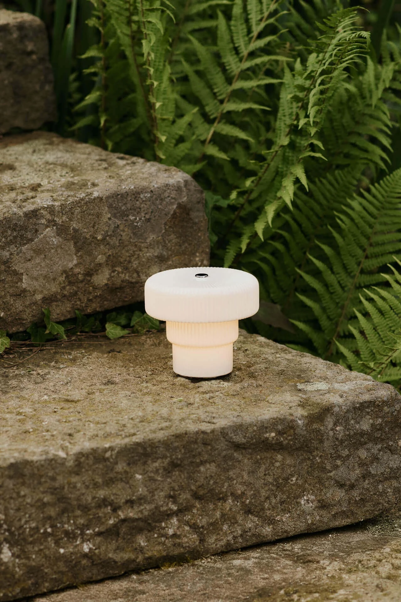 A white, ribbed, tiered portable lamp glowing on a grey stone surface with green ferns in the background.