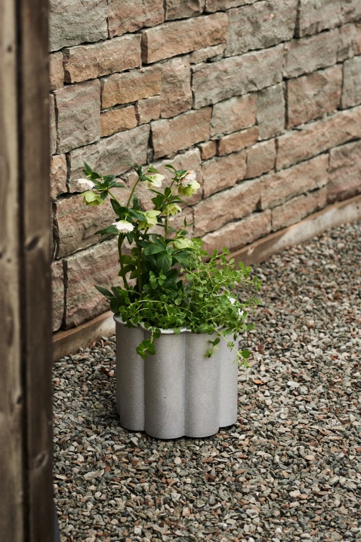 Gråsippa plant pot from Byarums bruk, a metal pot with scalloped edges.