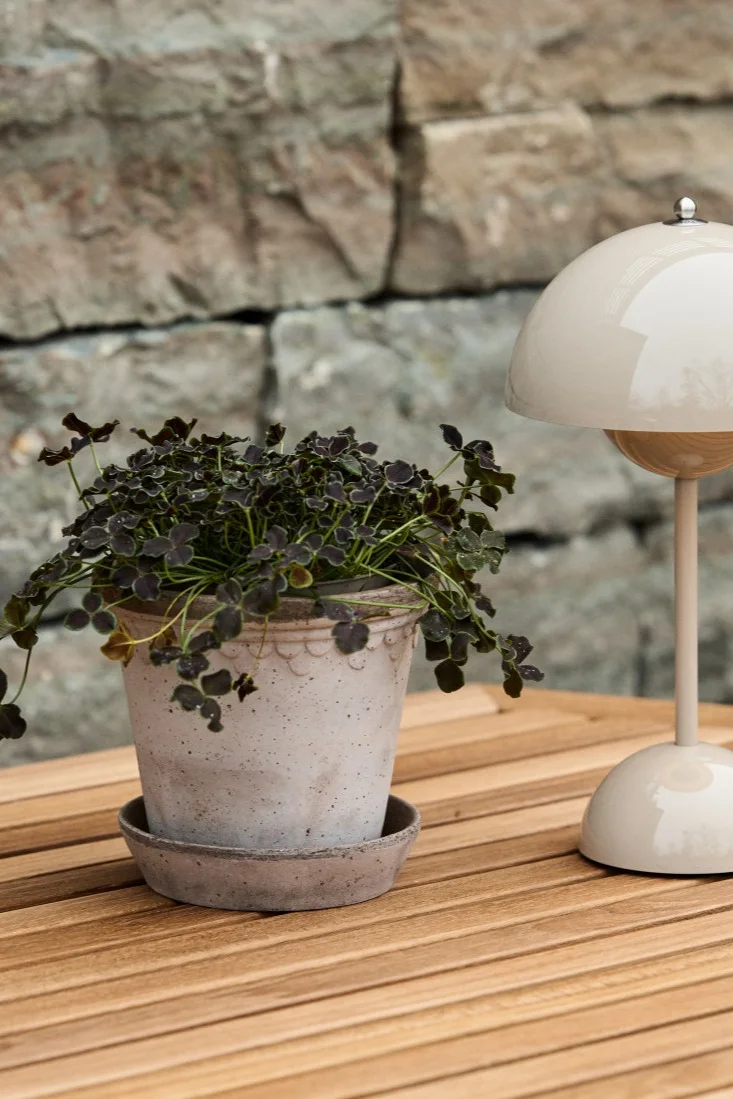 The outdoor plant pot Copenhagen stands on a wooden dining table with the Flowerpot Vp9 portable table lamp. 