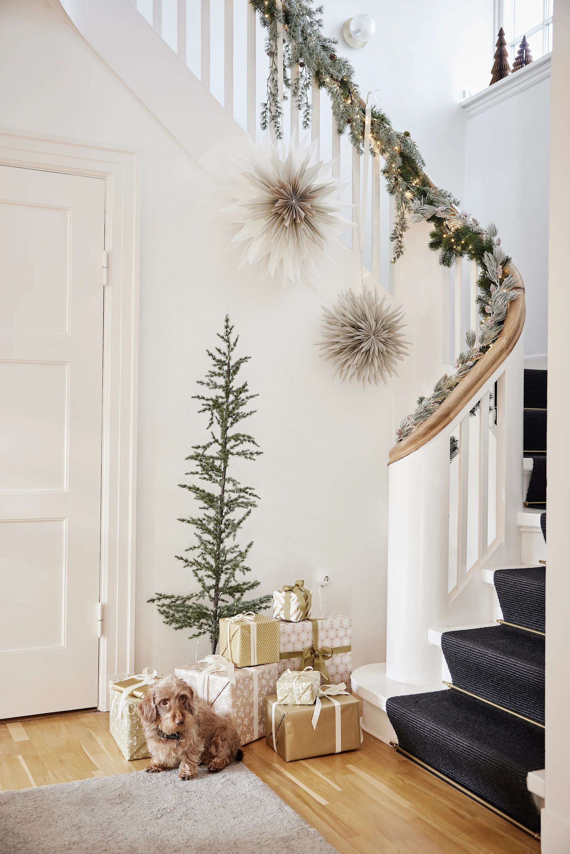 The paper star lanterns for Christmas hanging in a stairway above a Christmas tree, a pile of presents and a small dog. 