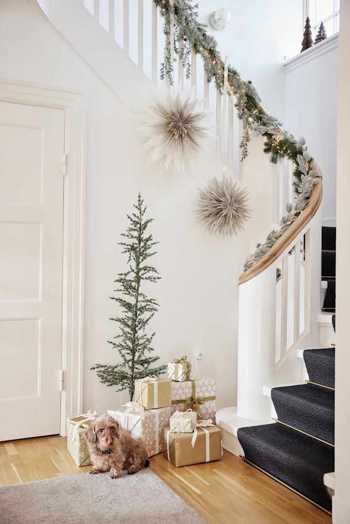 The paper star lanterns for Christmas hanging in a stairway above a Christmas tree, a pile of presents and a small dog. 