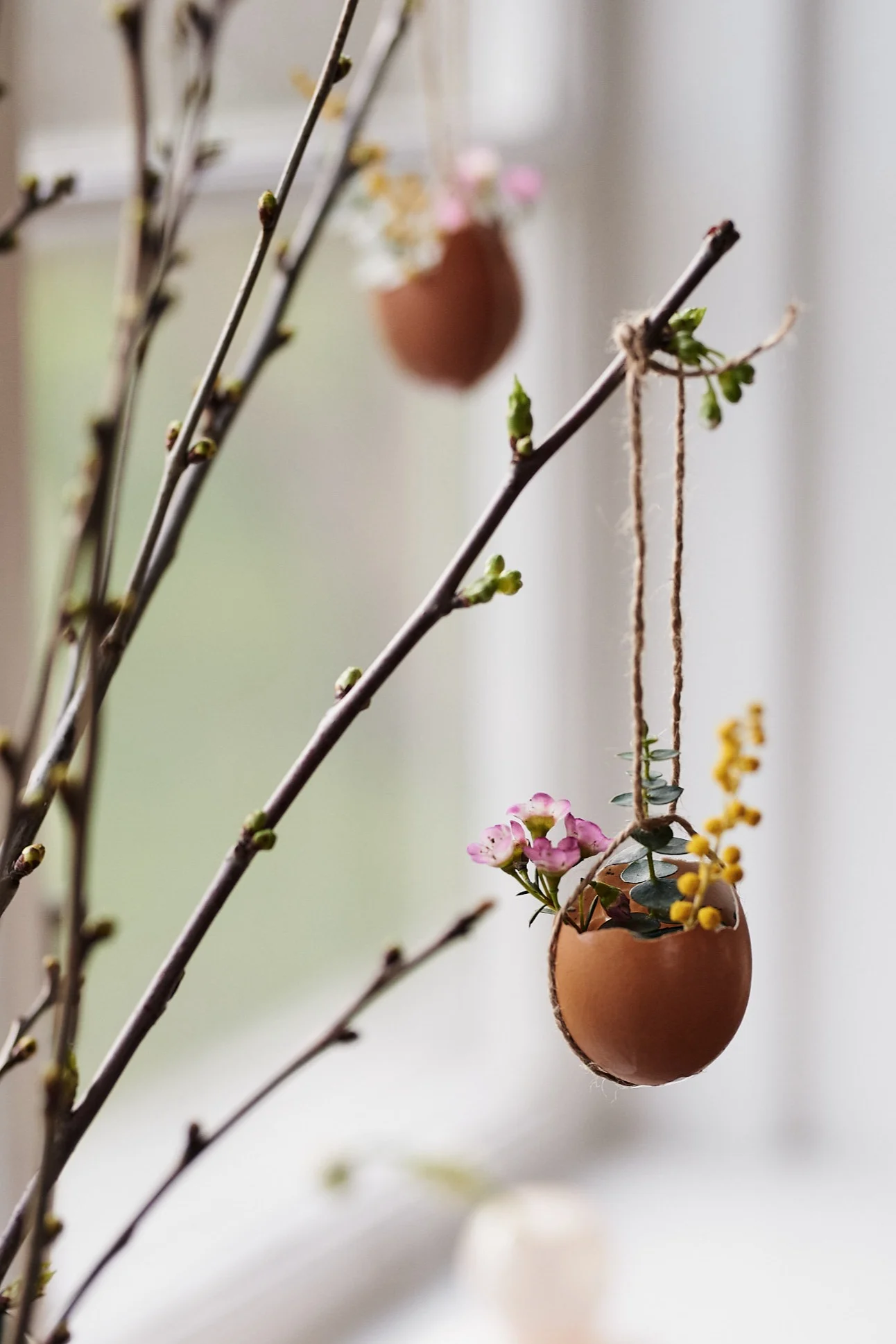 Easter crafts with eggs and flowers in the form of a small basket made of eggshells and filled with spring flowers.